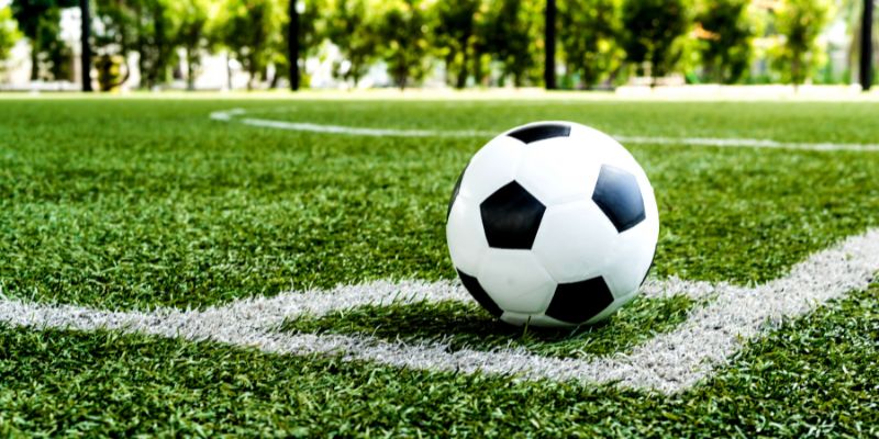 Lý do bạn nên theo dõi 7m trước khi vào trận